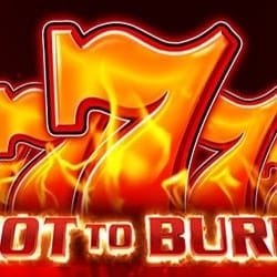 Hot to Burn™ game thumbnail